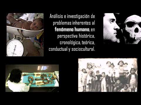 Introducción a la Antropología.