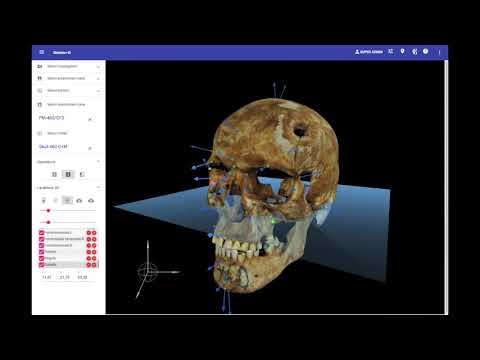 Canal de Youtube de Panacea/Skeleton-ID