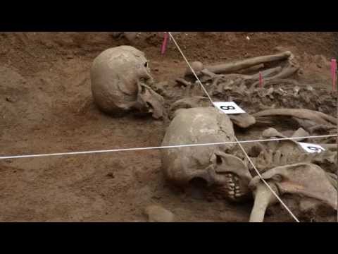 Curso práctico y teórico intensivo de excavación restos óseos humanos. Cubillejo de la…
