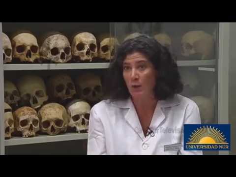 Alumnos de NUR realizamos este vídeo explicativo de la Antropología Forense.