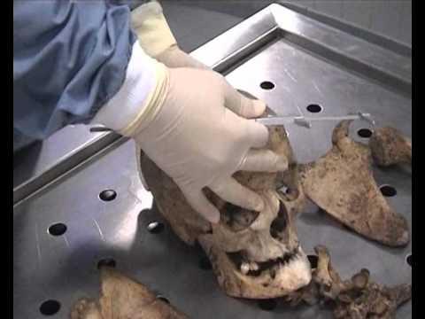 Um pequeno filme sobre perícias médico-legais em antropologia forense. Goncalo Carnim.