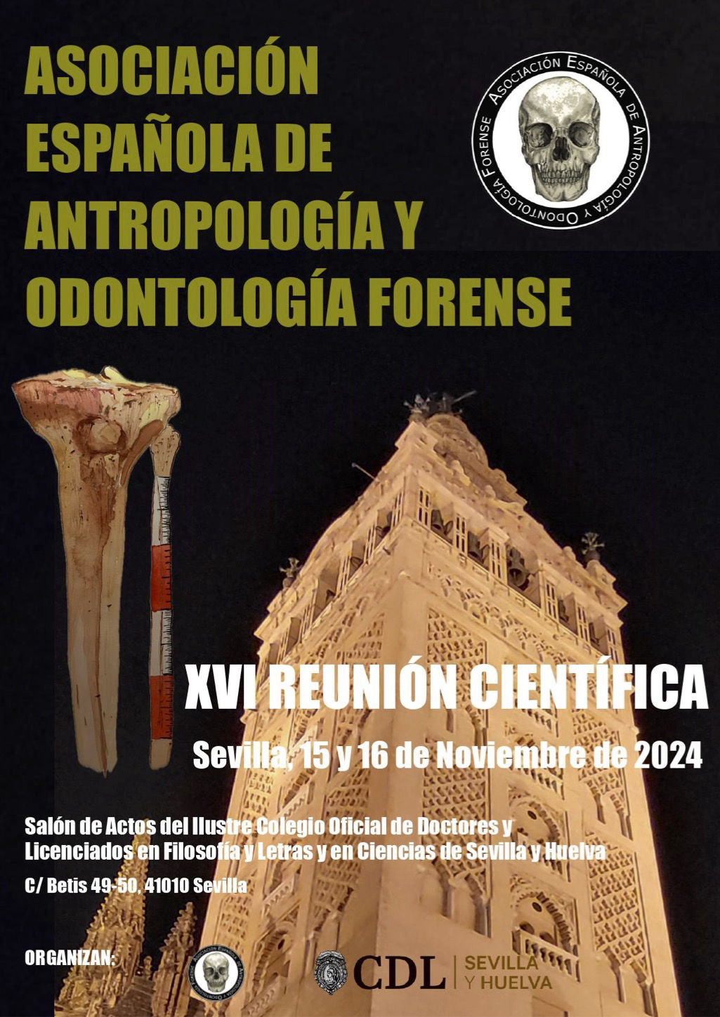 XVI Reunión Científica — Sevilla 2024