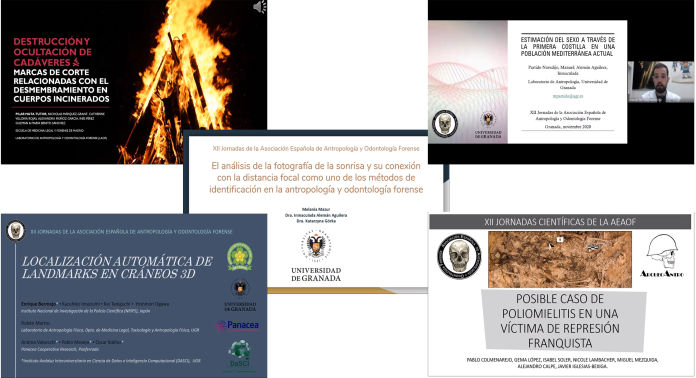 XII JORNADAS CIENTÍFICAS. GRANADA 9-11-16 y 18 Noviembre 2020 (online)