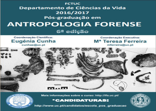 CURSO:  