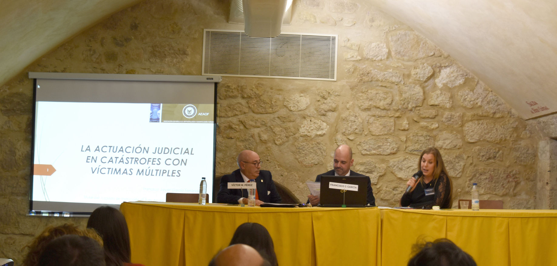 XI Jornadas  Científicas AEAOF. Pastrana (Guadalajara). Inauguración Oficial de las Jornadas.