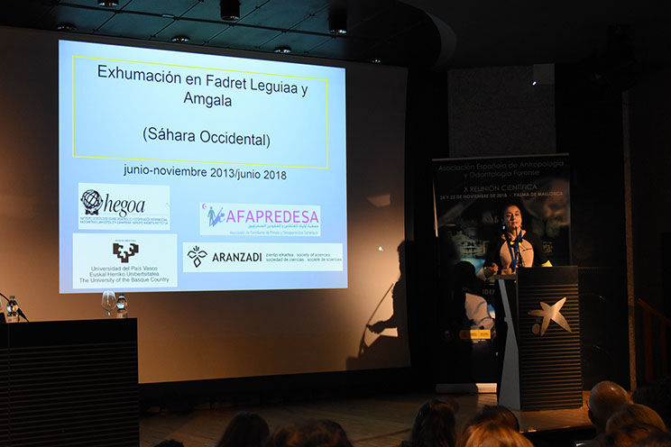 Comunicaciones Libres: Guerra Civil y Derechos Humanos. 