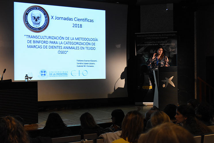Sesión de Pósteres