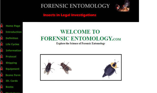 Forensic Entomology