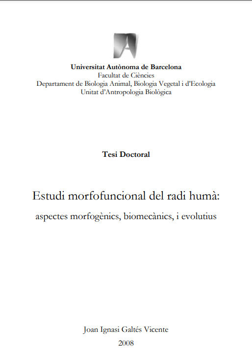 TESIS DOCTORAL DE D.JOAN IGNASI GALTÉS VICENTE «Estudio morfofuncional del radio».