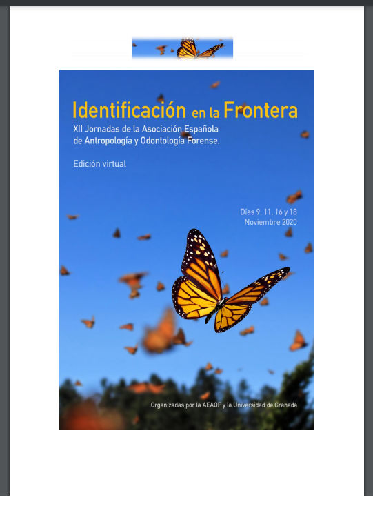 Segunda Circular