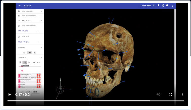 Skeleton-ID.